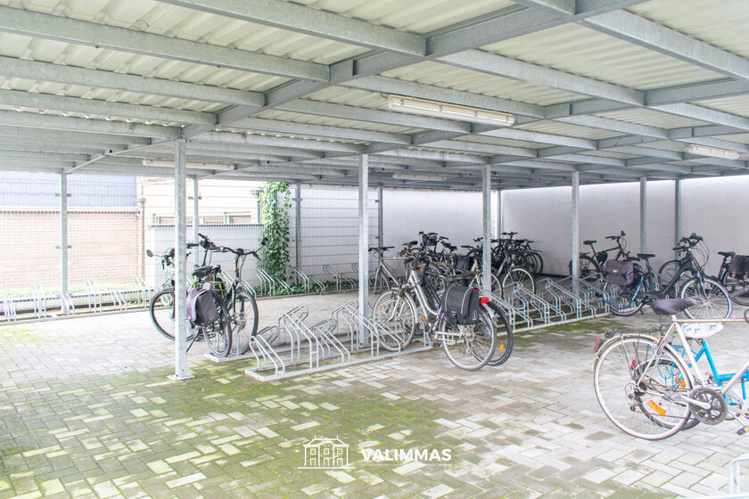 Appartement à louer à Asse