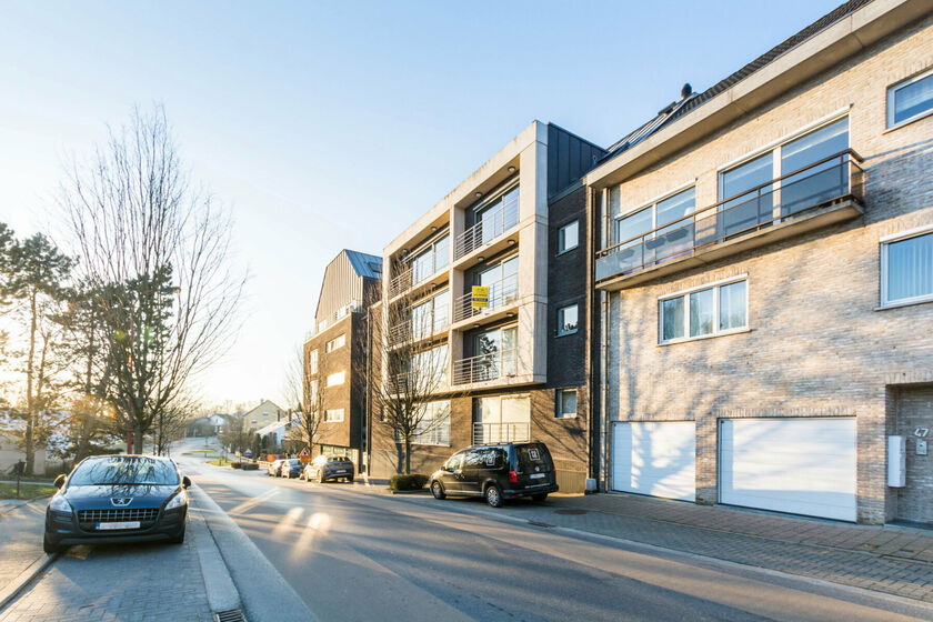 Appartement &agrave; louer &agrave; Asse
