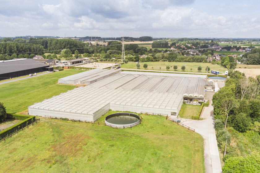 Bedrijfsgebouw te huur in Wambeek