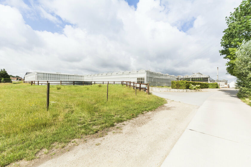 Bedrijfsgebouw te huur in Wambeek