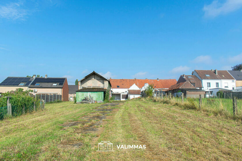 Bouwgrond (projecten) te koop in Asse