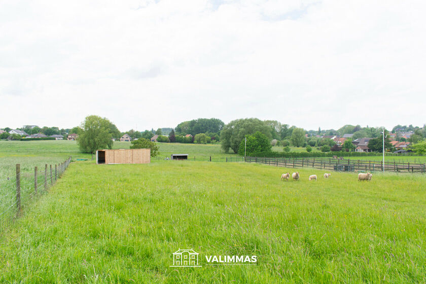 Bouwgrond te koop in Relegem