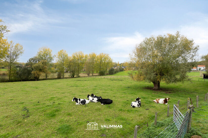 Huis te koop in Zandbergen