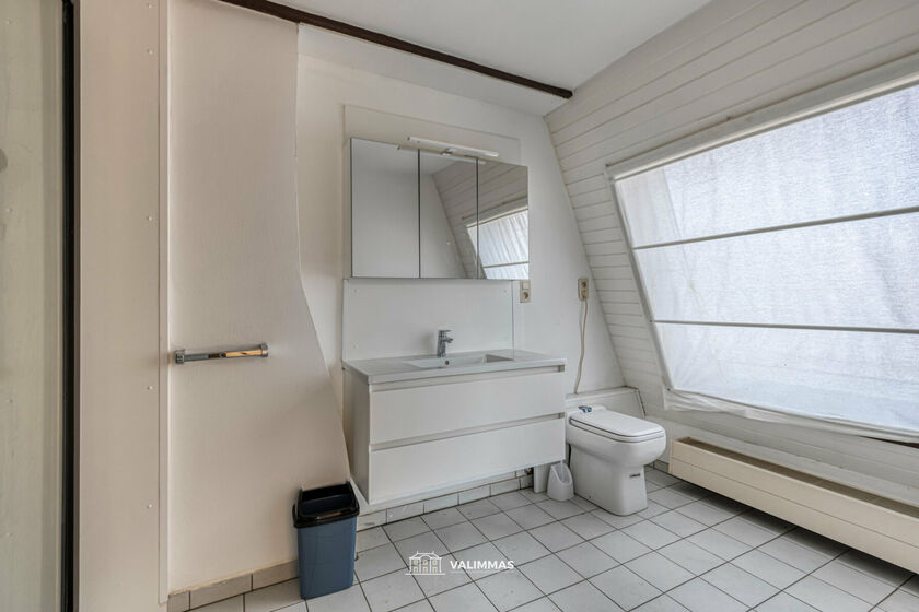 Immeuble &agrave; usage multiple &agrave; vendre &agrave; Asse
