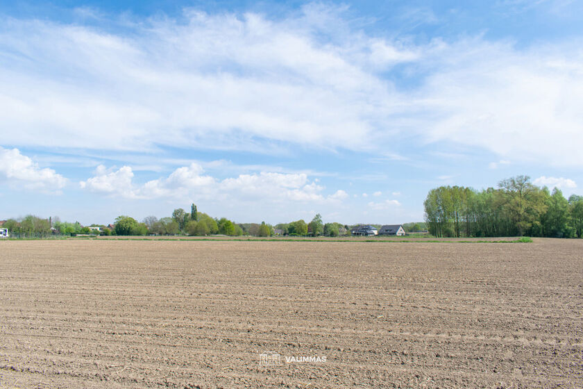 Landbouwgrond te koop in Affligem