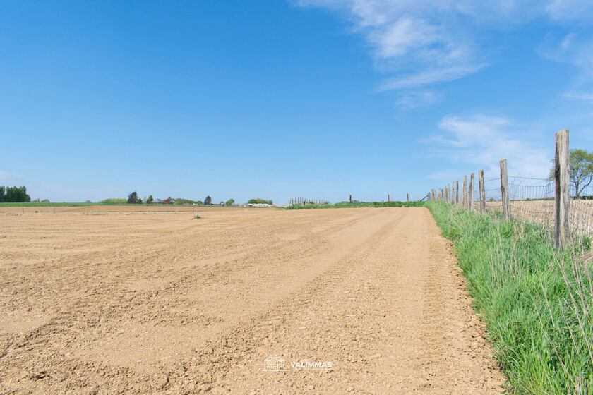 Landbouwgrond te koop in Asse