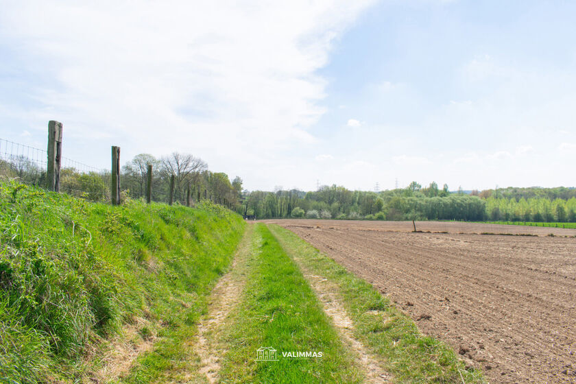 Landbouwgrond te koop in Asse