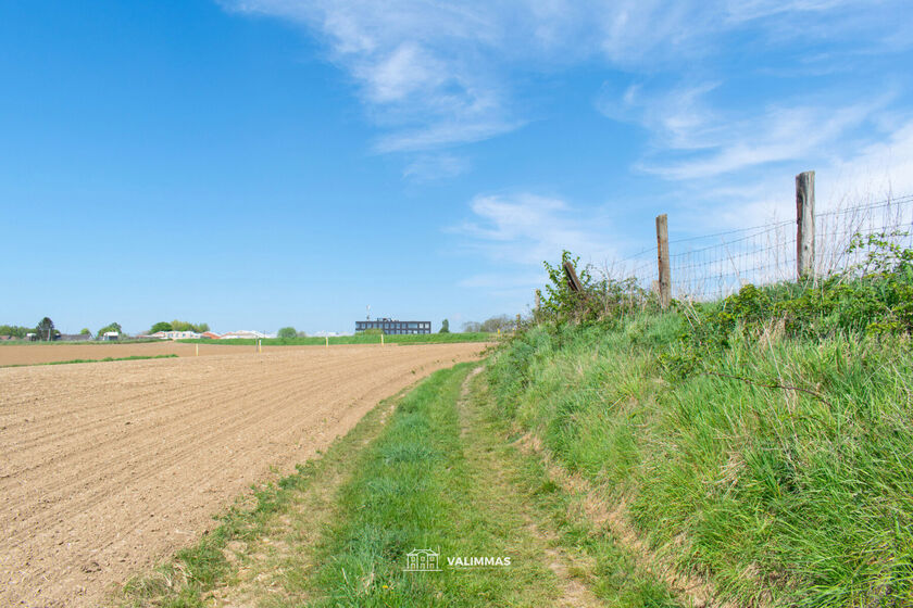 Landbouwgrond te koop in Asse