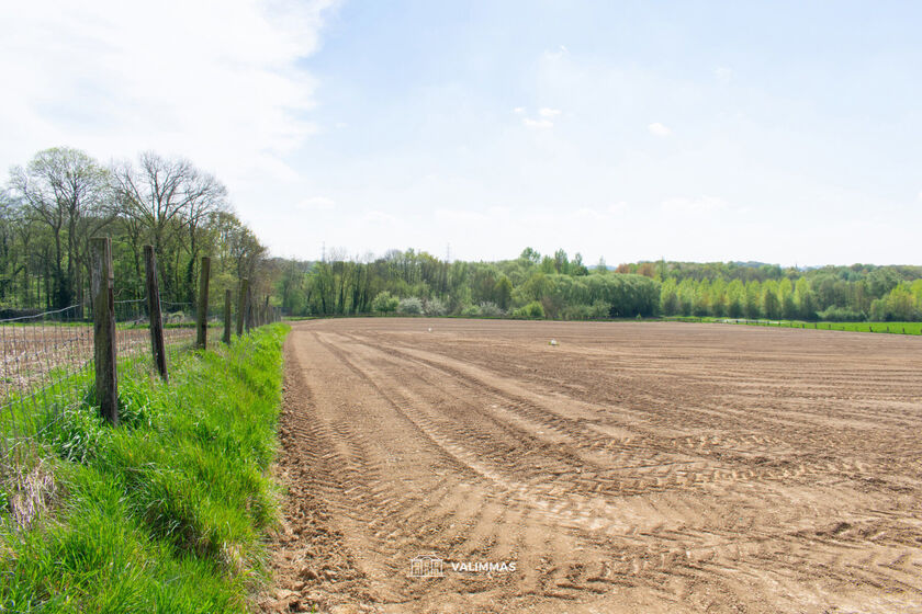 Landbouwgrond te koop in Asse