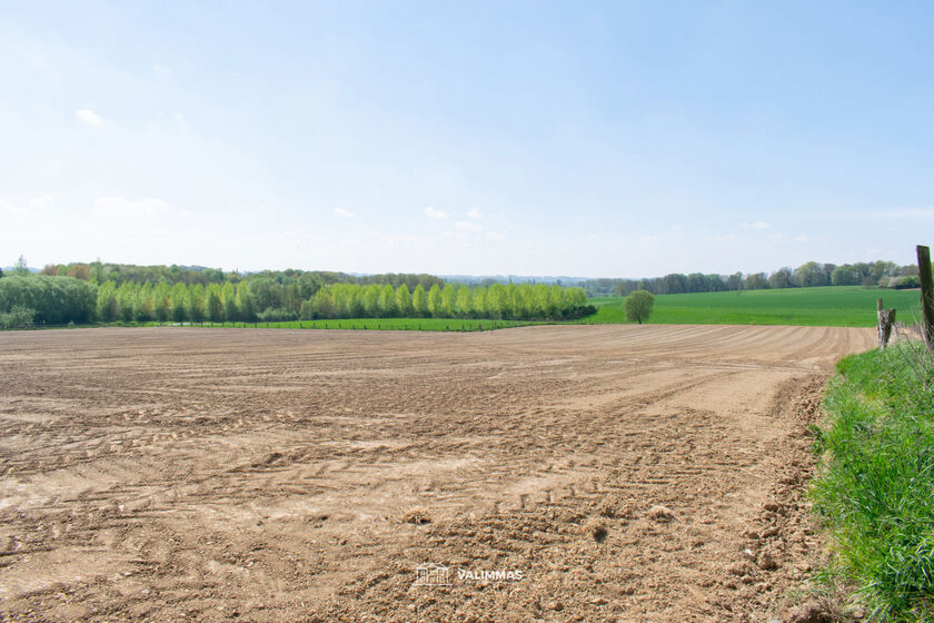 Landbouwgrond te koop in Asse