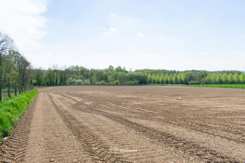 Landbouwgrond te koop in Asse