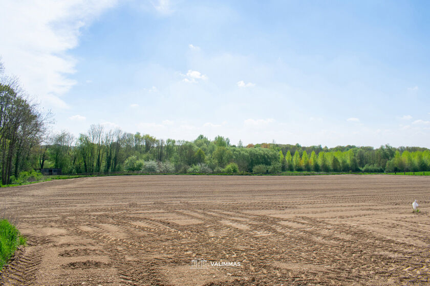 Landbouwgrond te koop in Asse