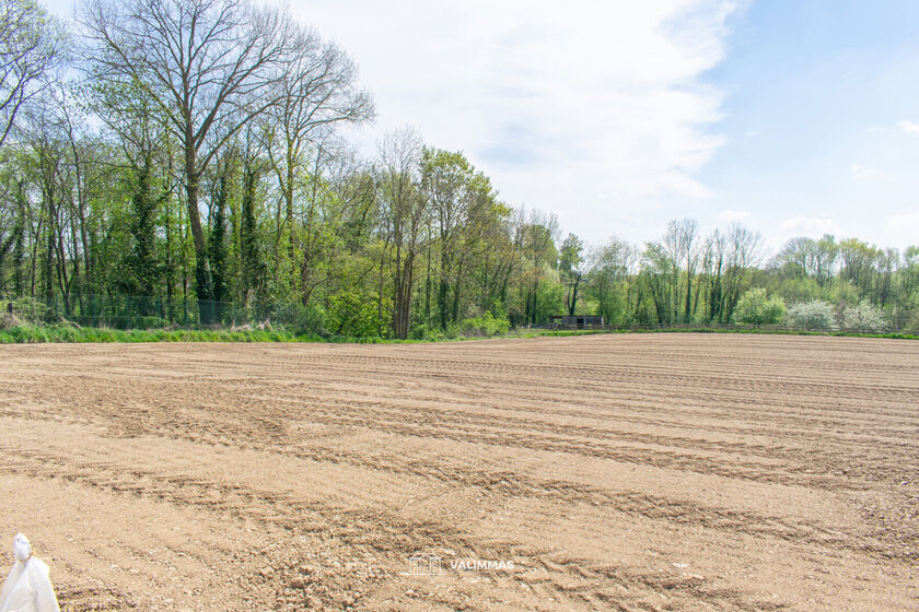 Landbouwgrond te koop in Asse