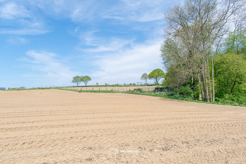 Landbouwgrond te koop in Asse