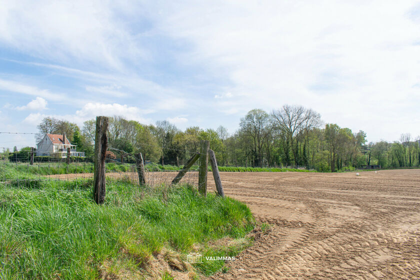 Landbouwgrond te koop in Asse