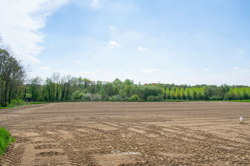 Landbouwgrond te koop in Asse