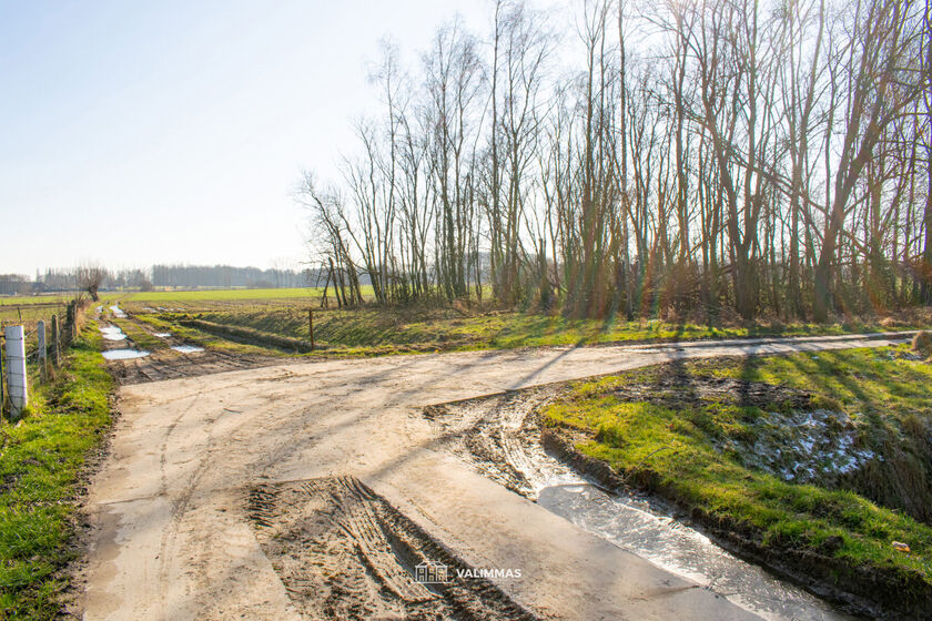 Landbouwgrond te koop in Baardegem