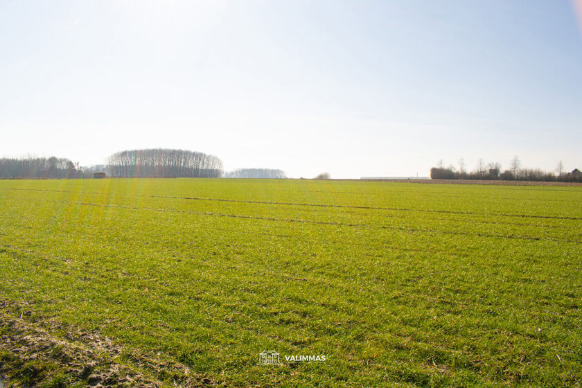Landbouwgrond te koop in Baardegem