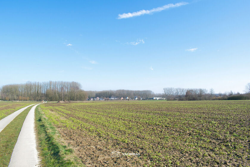 Landbouwgrond te koop in Baardegem