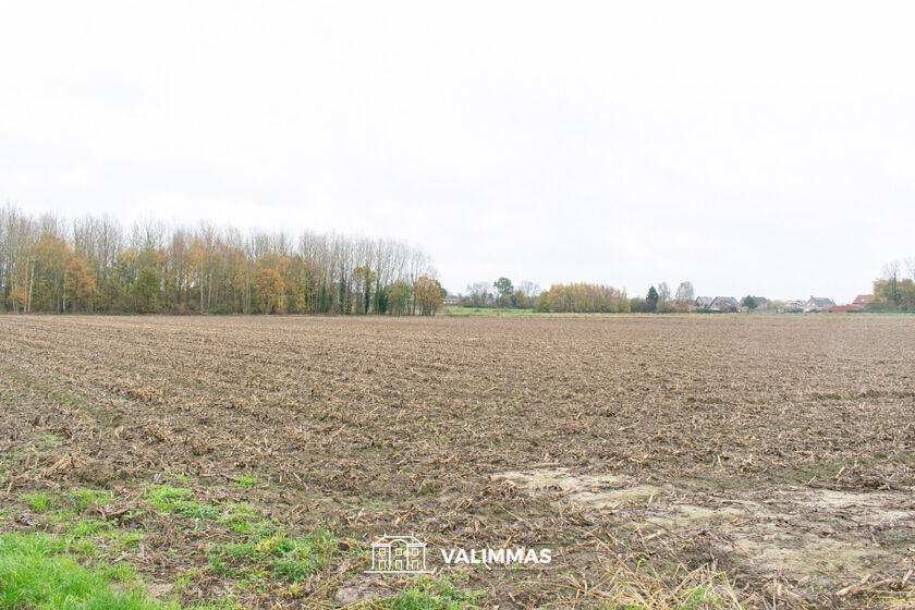 Landbouwgrond te koop in Opwijk