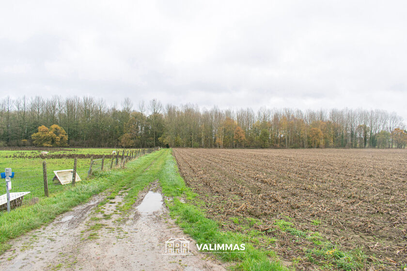 Landbouwgrond te koop in Opwijk