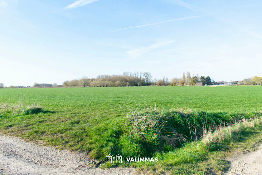 Landbouwgrond te koop in Opwijk