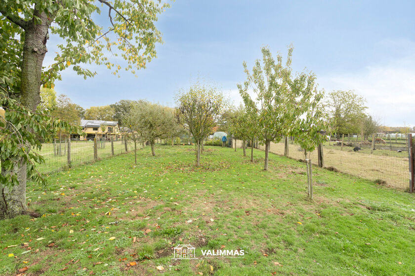 Maison &agrave; vendre &agrave; Zandbergen
