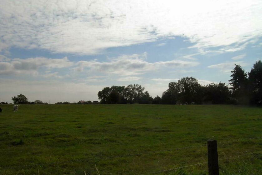 Prairie à vendre à Asse