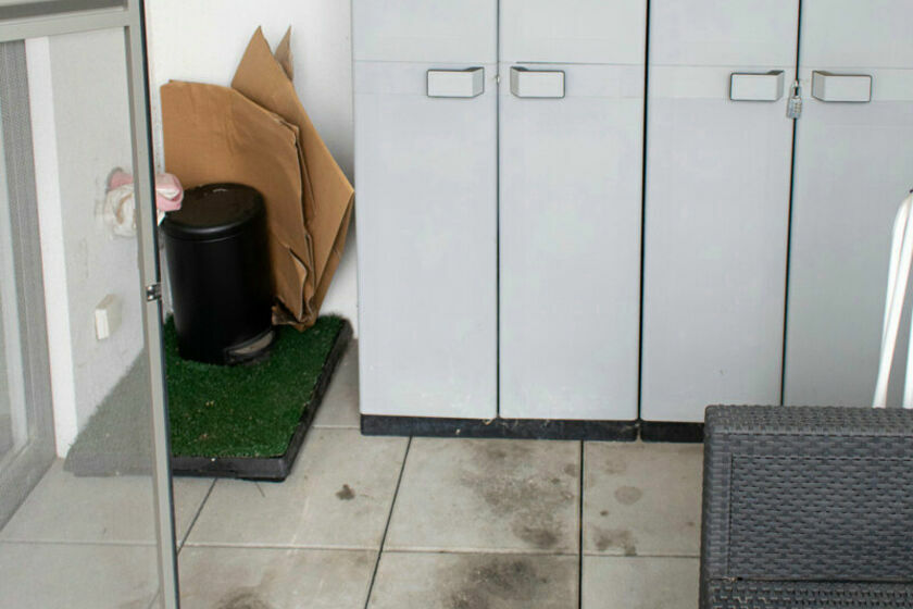 Studio te huur in Denderleeuw