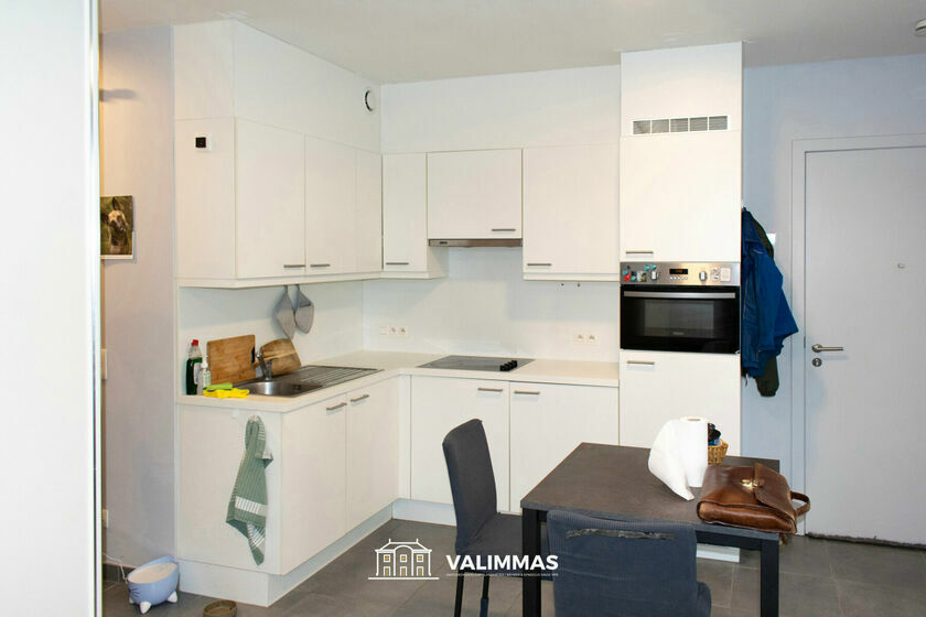 Studio te huur in Denderleeuw