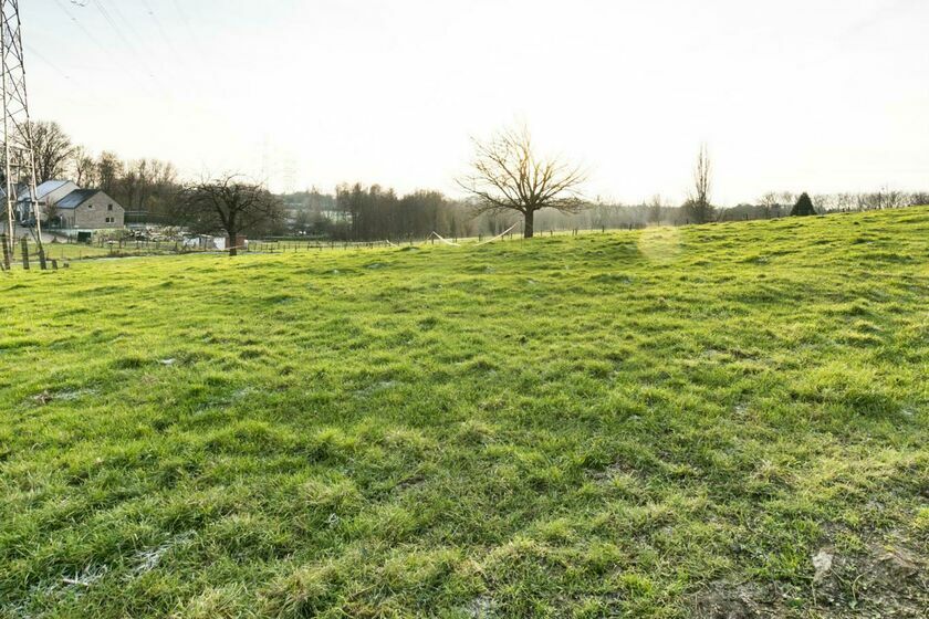 Terrain &agrave; b&acirc;tir &agrave; vendre &agrave; Asse