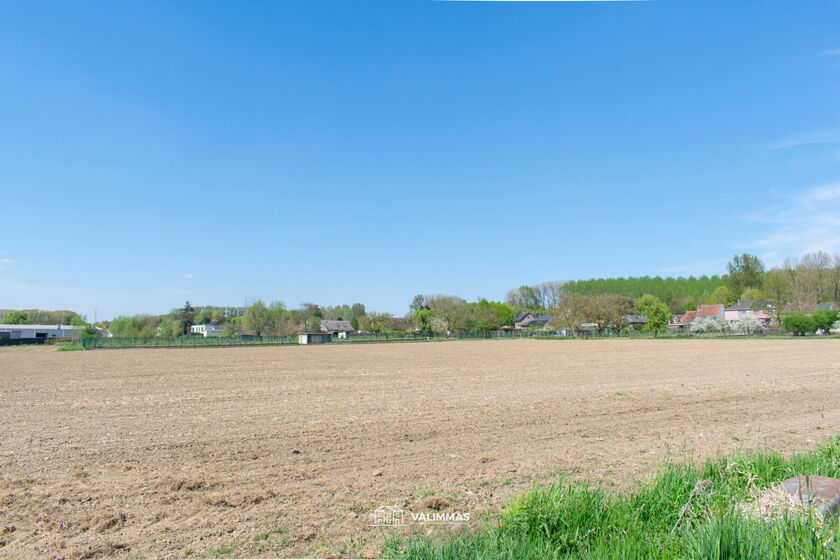 Terrain agricole à vendre à Affligem