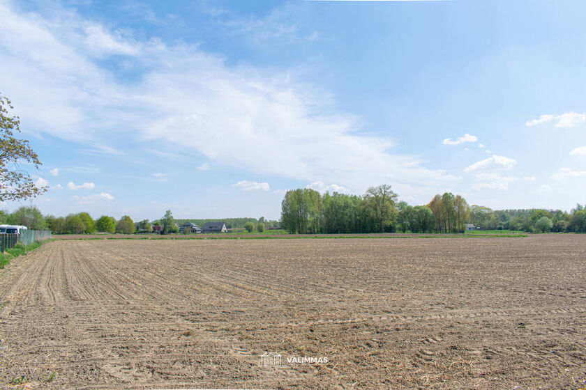 Terrain agricole à vendre à Affligem