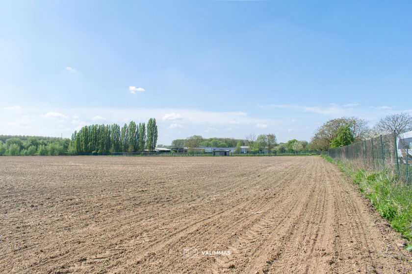 Terrain agricole à vendre à Affligem