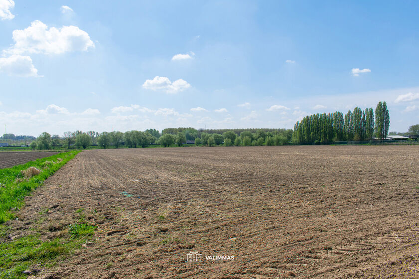 Terrain agricole à vendre à Affligem