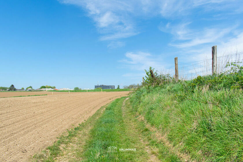 Terrain agricole à vendre à Asse