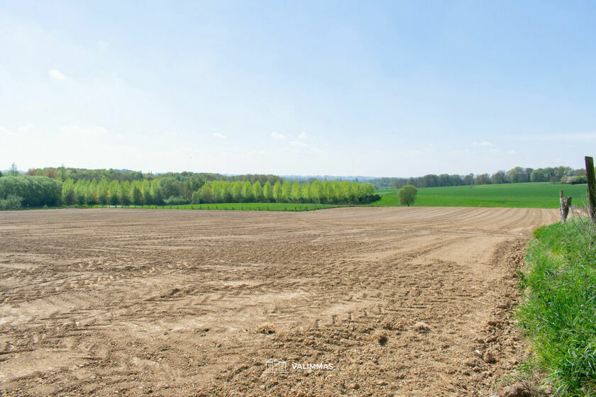 Terrain agricole à vendre à Asse