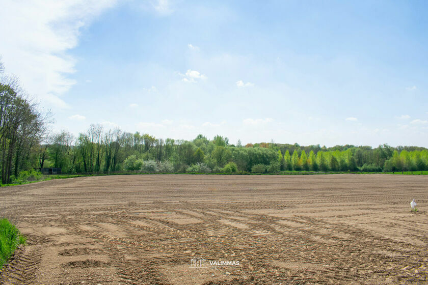 Terrain agricole à vendre à Asse