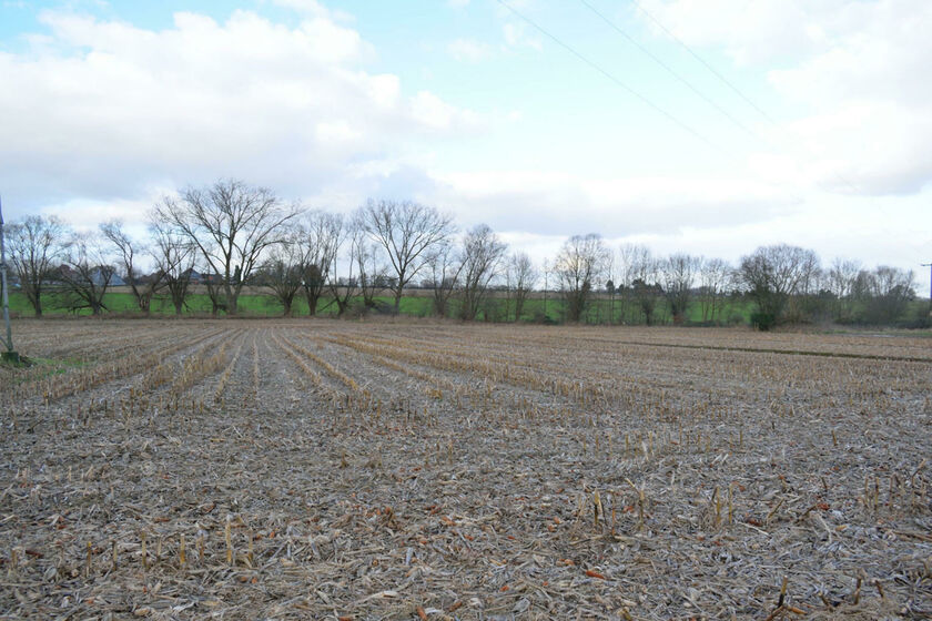 Terrain agricole à vendre à Asse