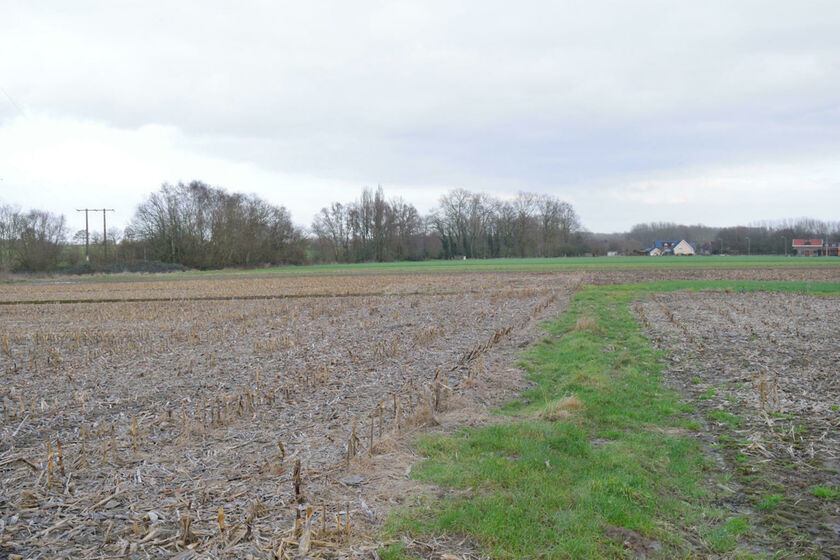 Terrain agricole à vendre à Asse