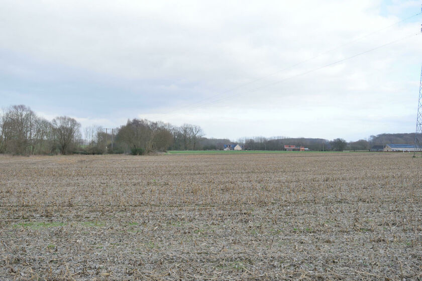 Terrain agricole à vendre à Asse