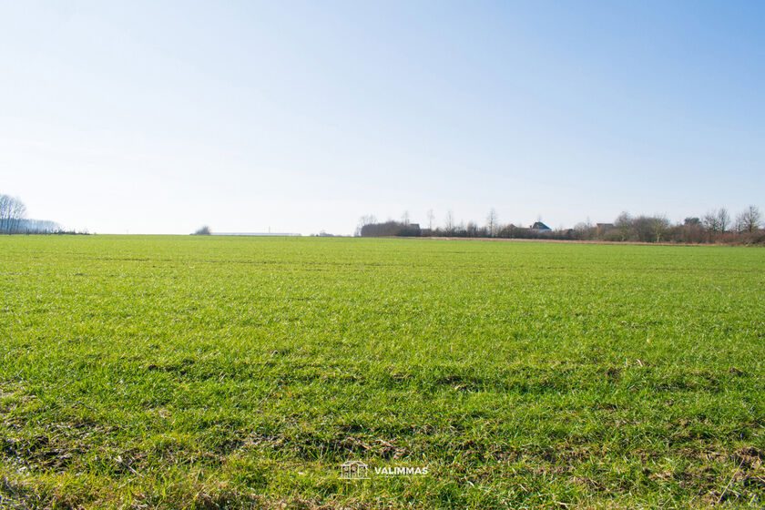 Terrain agricole à vendre à Baardegem