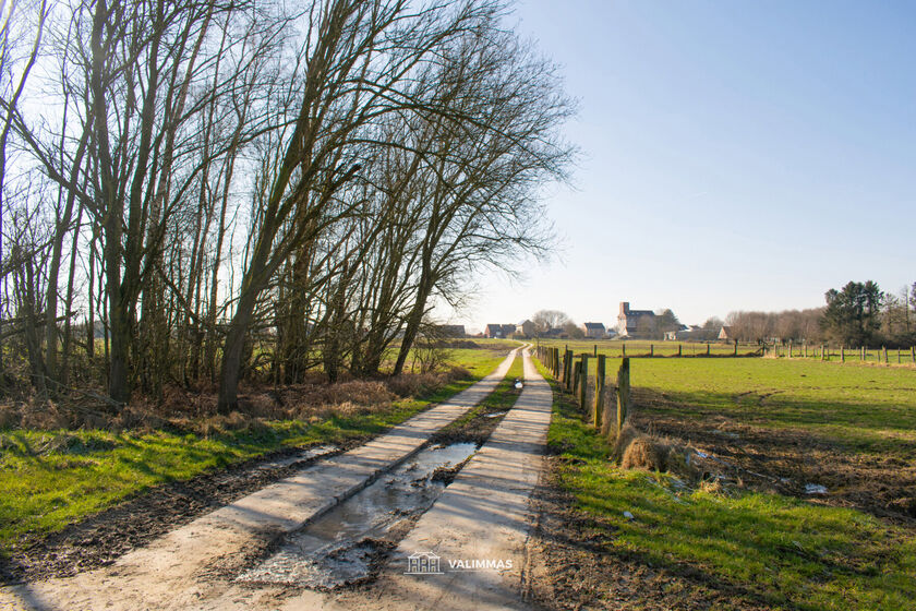 Terrain agricole à vendre à Baardegem
