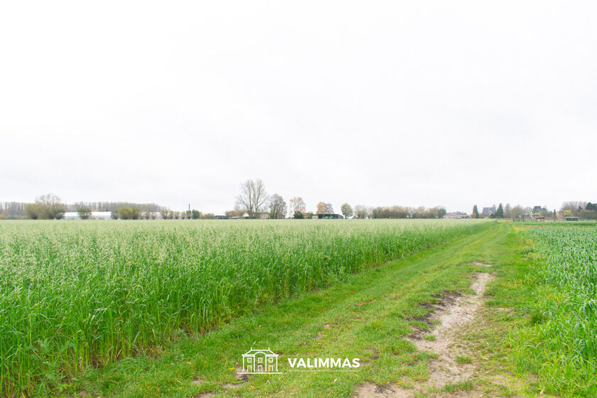 Terrain agricole à vendre à Baardegem