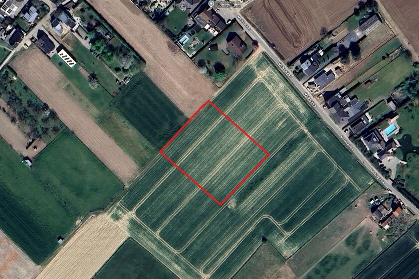 Terrain agricole à vendre à Baardegem