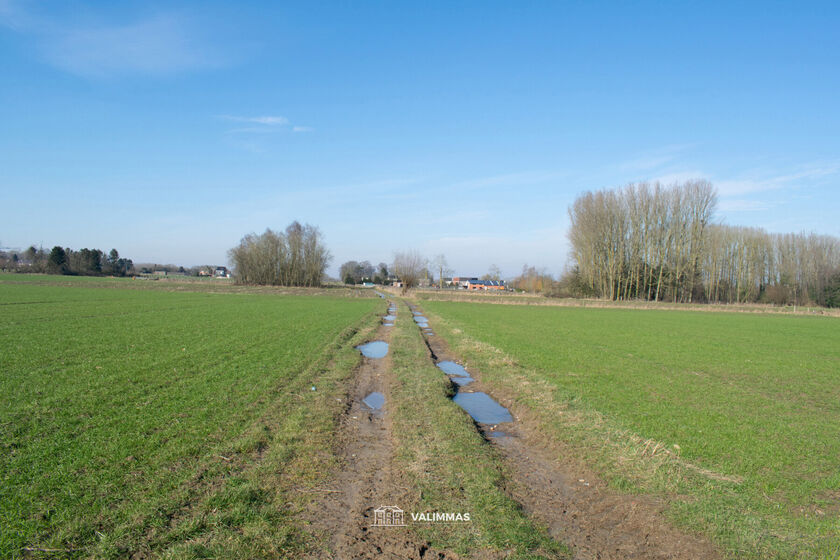 Terrain agricole à vendre à Baardegem
