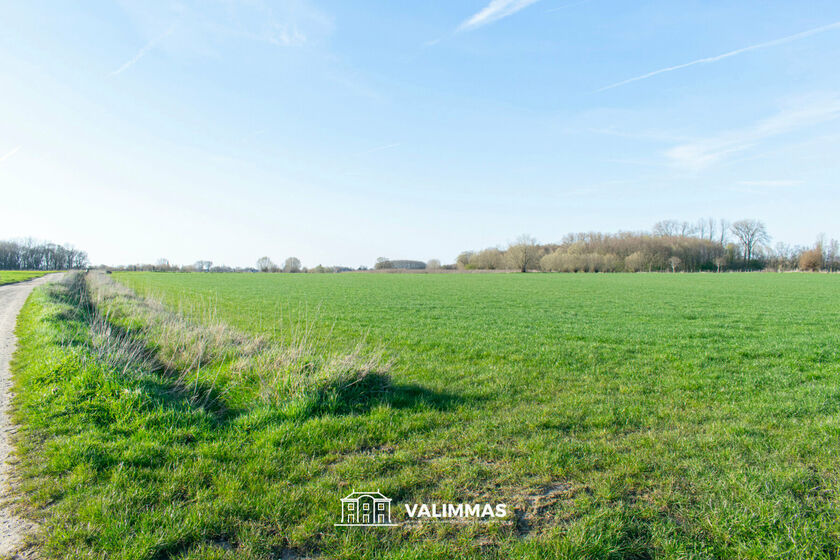Terrain agricole &agrave; vendre &agrave; Opwijk
