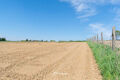Landbouwgrond te koop in Asse