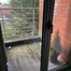 Appartement te huur in Zellik