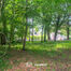 Bouwgrond te koop in Asse